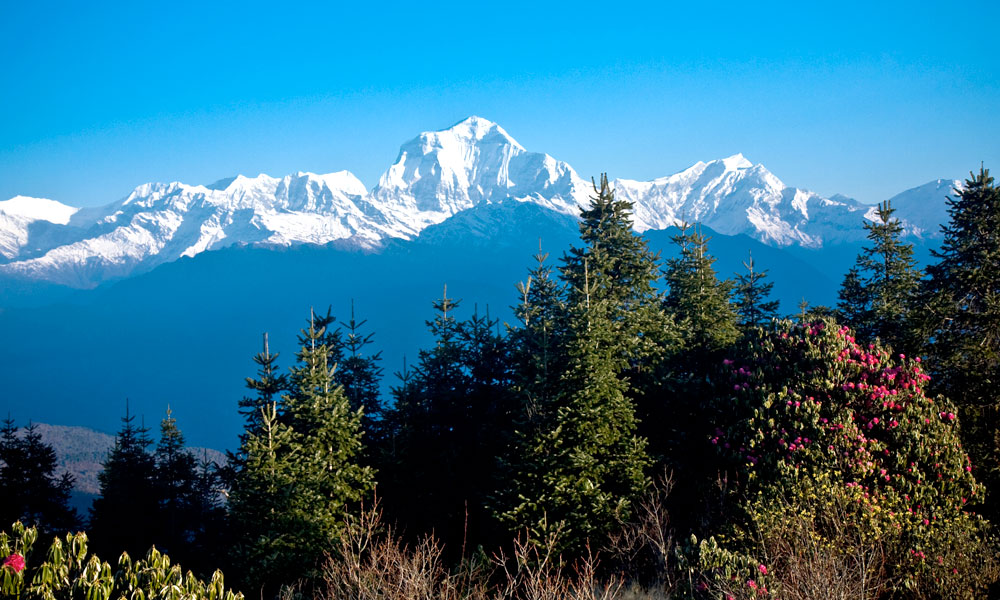 Himalayan Panorama Trek